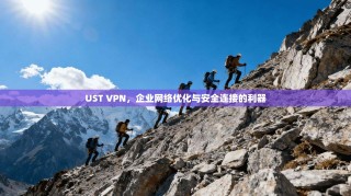 UST VPN，企业网络优化与安全连接的利器