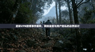 武林VPN微博事件解析，网络监管与用户隐私的边界探讨
