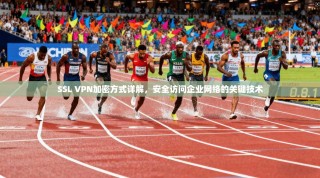 SSL VPN加密方式详解，安全访问企业网络的关键技术