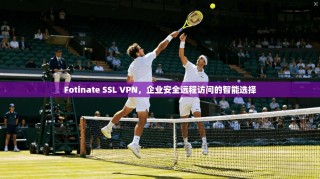 Fotinate SSL VPN，企业安全远程访问的智能选择