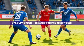 VPS与VPN结合应用，800元预算下的高效网络部署方案解析