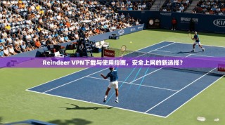 Reindeer VPN下载与使用指南，安全上网的新选择？
