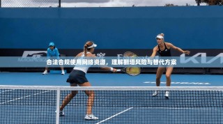 合法合规使用网络资源，理解翻墙风险与替代方案