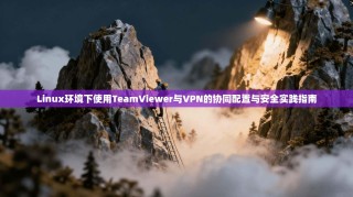 Linux环境下使用TeamViewer与VPN的协同配置与安全实践指南