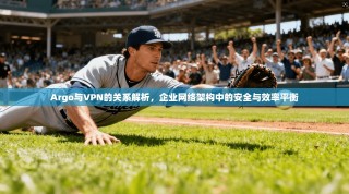 Argo与VPN的关系解析，企业网络架构中的安全与效率平衡