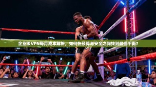 企业级VPN每月成本解析，如何在预算与安全之间找到最佳平衡？