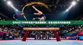 华为SSL VPN手机客户端全面解析，安全远程访问的新选择