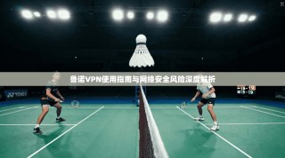 鲁诺VPN使用指南与网络安全风险深度解析