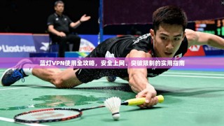 蓝灯VPN使用全攻略，安全上网、突破限制的实用指南