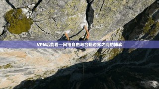 VPN后能看—网络自由与合规边界之间的博弈
