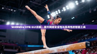 WANWire VPN GUI详解，提升网络安全性与易用性的智能工具
