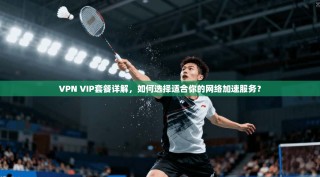 VPN VIP套餐详解，如何选择适合你的网络加速服务？