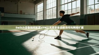 Switch设备如何配置VPN以实现安全远程访问与网络扩展