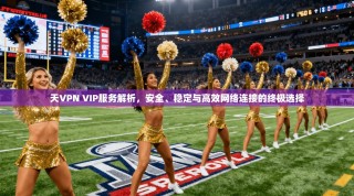 天VPN VIP服务解析，安全、稳定与高效网络连接的终极选择