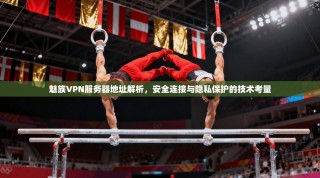 魅族VPN服务器地址解析，安全连接与隐私保护的技术考量