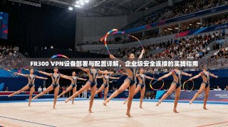 FR300 VPN设备部署与配置详解，企业级安全连接的实践指南