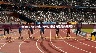 Gringo Android VPN，安全与隐私的双刃剑？