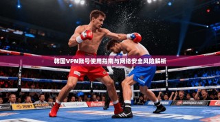 韩国VPN账号使用指南与网络安全风险解析