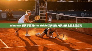 Windows系统下使用VPN Shield保护隐私与网络安全的全面指南