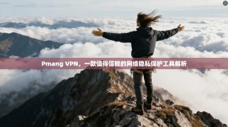 Pmang VPN，一款值得信赖的网络隐私保护工具解析
