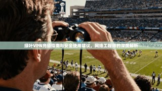 绿叶VPN充值指南与安全使用建议，网络工程师的深度解析