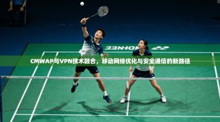 CMWAP与VPN技术融合，移动网络优化与安全通信的新路径