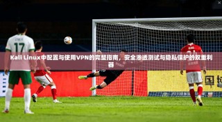 Kali Linux中配置与使用VPN的完整指南，安全渗透测试与隐私保护的双重利器