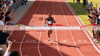 深入解析VPN是SM背后的网络技术逻辑与安全考量