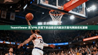 TeamViewer 无 VPN 环境下的远程访问解决方案与网络优化策略