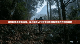 海外网络连接新选择，深入解析VPN在访问外国服务中的作用与风险