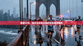 嫩苗VPN，技术与合规之间的灰色地带解析