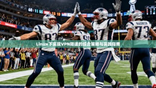 Linux下实现VPN限速的综合策略与实践指南