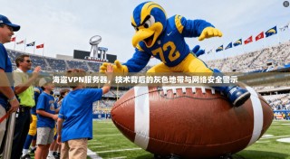 海盗VPN服务器，技术背后的灰色地带与网络安全警示