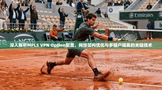 深入解析MPLS VPN Option配置，网络架构优化与多租户隔离的关键技术