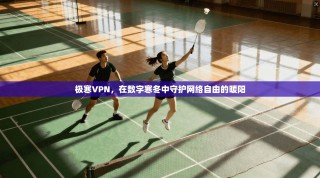 极寒VPN，在数字寒冬中守护网络自由的暖阳