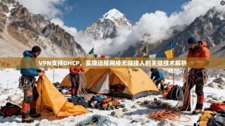 VPN支持DHCP，实现远程网络无缝接入的关键技术解析