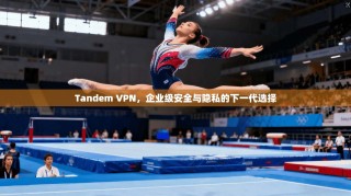Tandem VPN，企业级安全与隐私的下一代选择