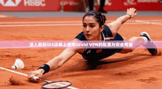 深入解析iOS设备上使用Orvid VPN的配置与安全考量