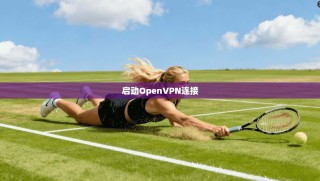 启动OpenVPN连接