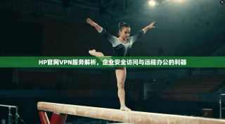 HP官网VPN服务解析，企业安全访问与远程办公的利器