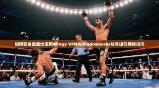 如何安全高效地使用Wingy VPN与Shadowsocks账号进行网络访问