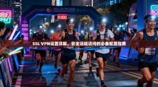 SSL VPN设置详解，安全远程访问的必备配置指南
