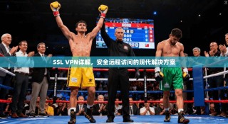 SSL VPN详解，安全远程访问的现代解决方案