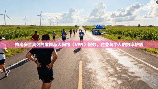 构建安全高效的虚拟私人网络（VPN）服务，企业与个人的数字护盾