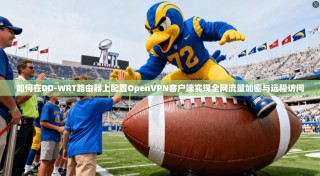 如何在DD-WRT路由器上配置OpenVPN客户端实现全网流量加密与远程访问