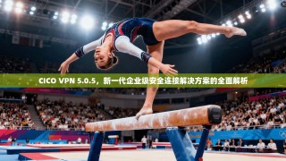 CICO VPN 5.0.5，新一代企业级安全连接解决方案的全面解析