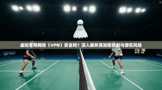 虚拟专用网络（VPN）安全吗？深入解析其加密机制与潜在风险