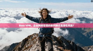 Boss VPN，企业网络管理的新利器还是潜在风险？