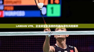 LANDAN VPN，企业级安全连接的利器与潜在风险解析
