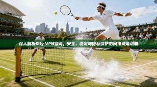 深入解析Sfly VPN官网，安全、稳定与隐私保护的网络隧道利器